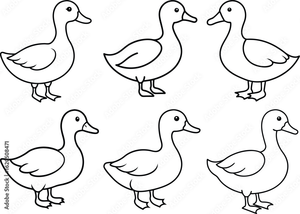 Fototapeta premium Black and White Duck Drawing – Clean and Simple Line Art Vector