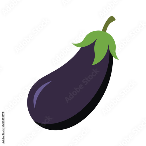 Eggplant vector isolated on white background