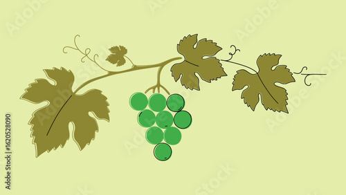 Minimalist Elegant Vector Embedded grapes and wine .