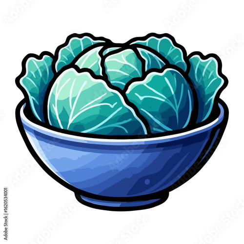 Handdrawn Detailed Cabbage in Bowl Food Illustration with Cute Style