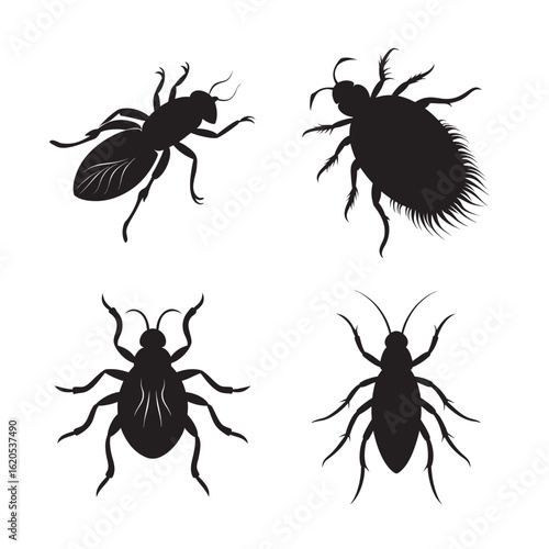 silhouette flea set