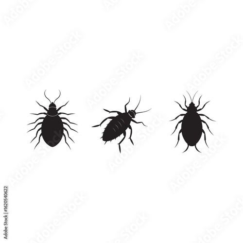 silhouette louse set .on the white background