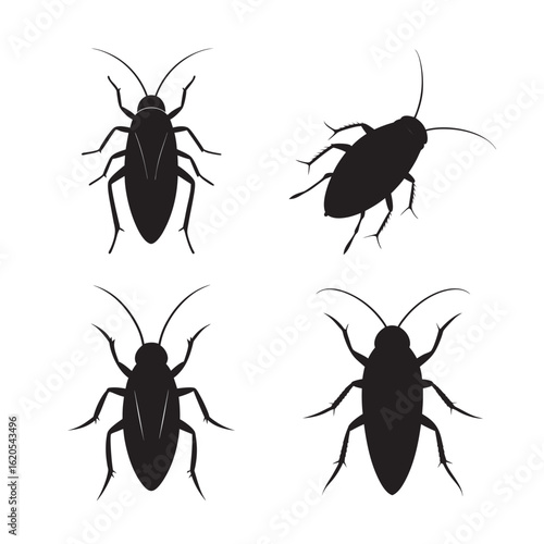 silhouette cockroach set bundle on the white background