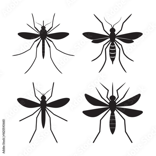 silhouette mosquito biting with proboscis extended