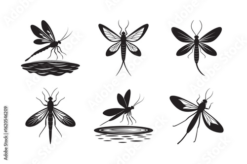 silhouette various mayfly set bundle on the white background