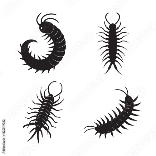silhouette centipede attacking prey set bundle on white background