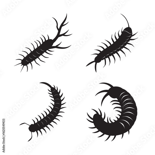 silhouette centipede attacking prey set bundle on white background