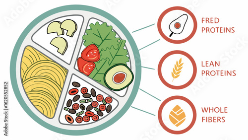 Illustration of a balanced plate with portions of protein, fiber, and vegetables, representing a healthy diet and nutritional information