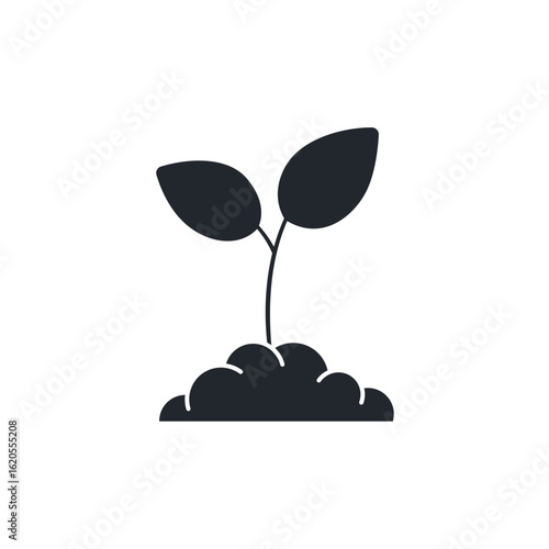 A young sapling growing in a mound of soil. Represents new growth, reforestation, gardening, nature, and hope for the future.