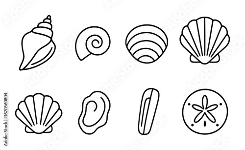 Seashell Icon Set. Outline icon set of seashell varieties on beaches: conch shell, spiral shell, clam shell,