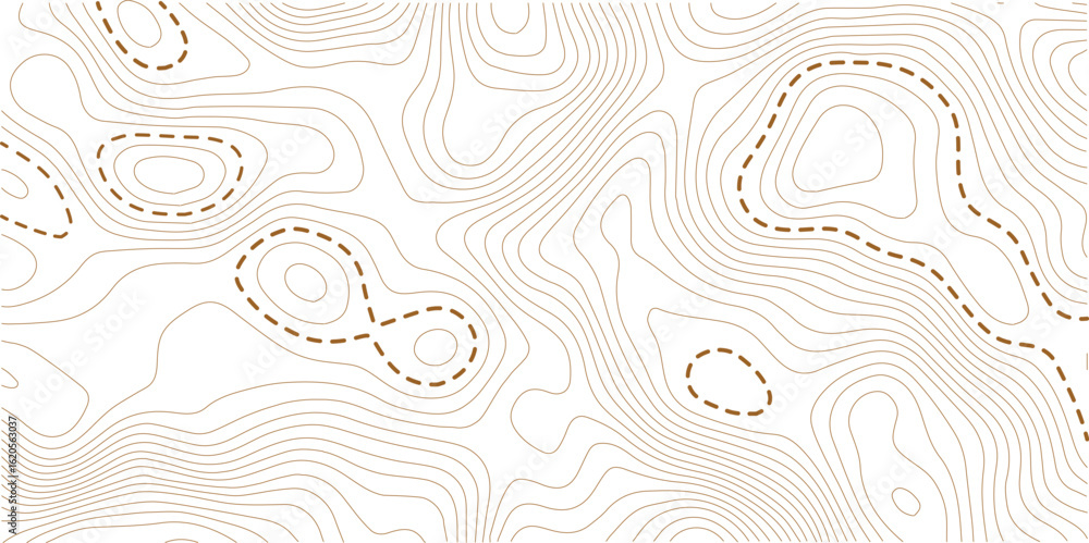 Fototapeta premium Vector seamless background. Stylish linear texture. Monochrome vector texture. Wavy graphic background. The wavy lines. Topographic map