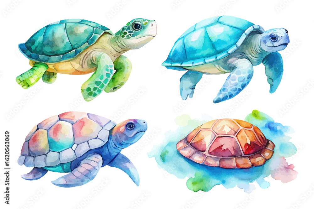 Fototapeta premium set of watercolor Turtle vector illustration isolated on white background