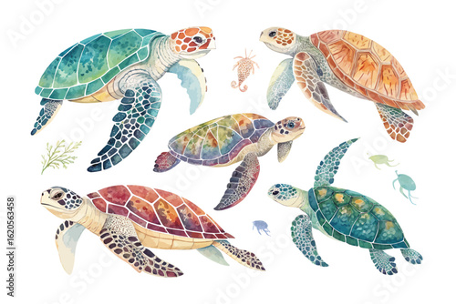 set of watercolor Turtle vector illustration isolated on white background