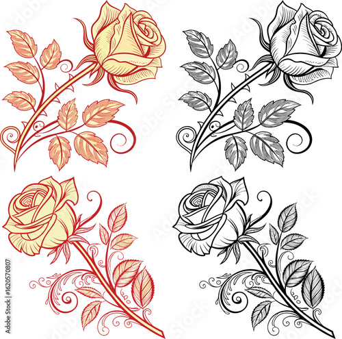 engraved outline rose set with intricate Victorian details isolated on white background Ornamental vector styled like vintage etchings, featuring fine cross-hatching, elaborate scrollwork accents