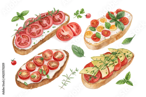 set of watercolor Tomato bruschetta vector illustration isolated on white background