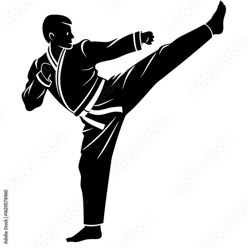 Black silhouette martial artist performing high kick