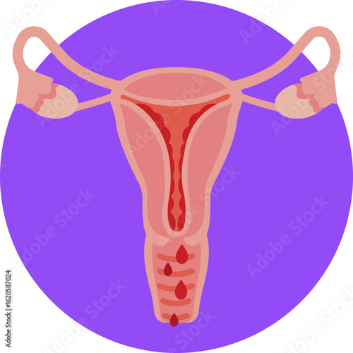Symbolizes the uterus as the nurturing environment for unborn life.
