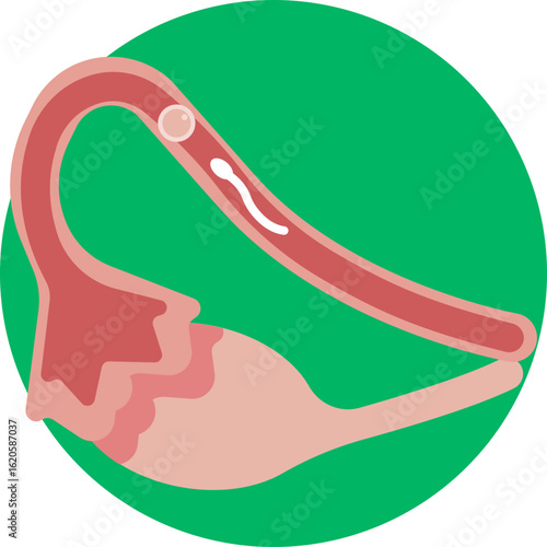 Depicts the moment when a sperm cell successfully reaches and penetrates an egg, initiating pregnancy.