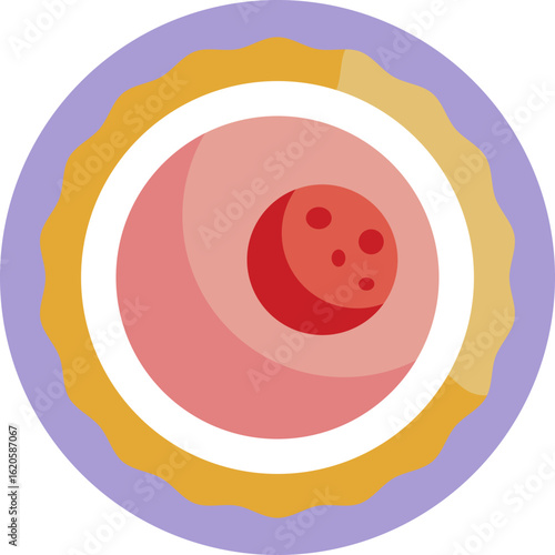 A single human egg cell representing the starting point of conception.