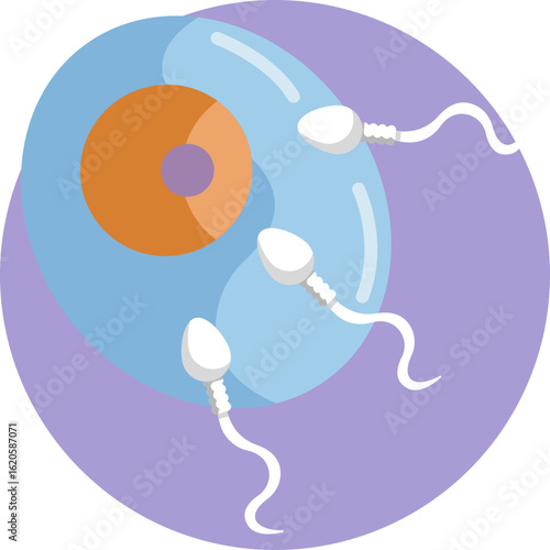 Represents the first stage of human reproduction, showing sperm and egg interaction.