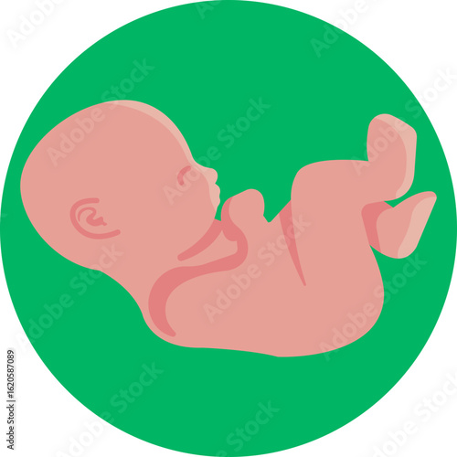 Icon depicting a swaddled infant, emphasizing maternity and newborn care.
