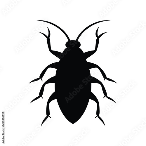 harlequin-beetle-silhouette-on-white-background