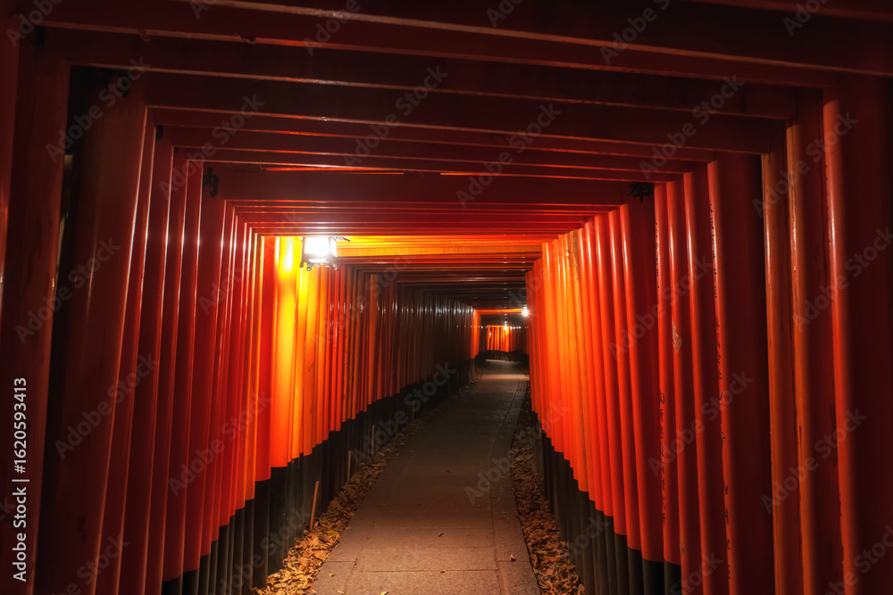 Fototapeta premium Red Torii gate archway light up of Fushimi Inari Taisha shrine at night, Kyoto, Japan. travel destination for thousand Torii Gates taken on peak fall season in December.