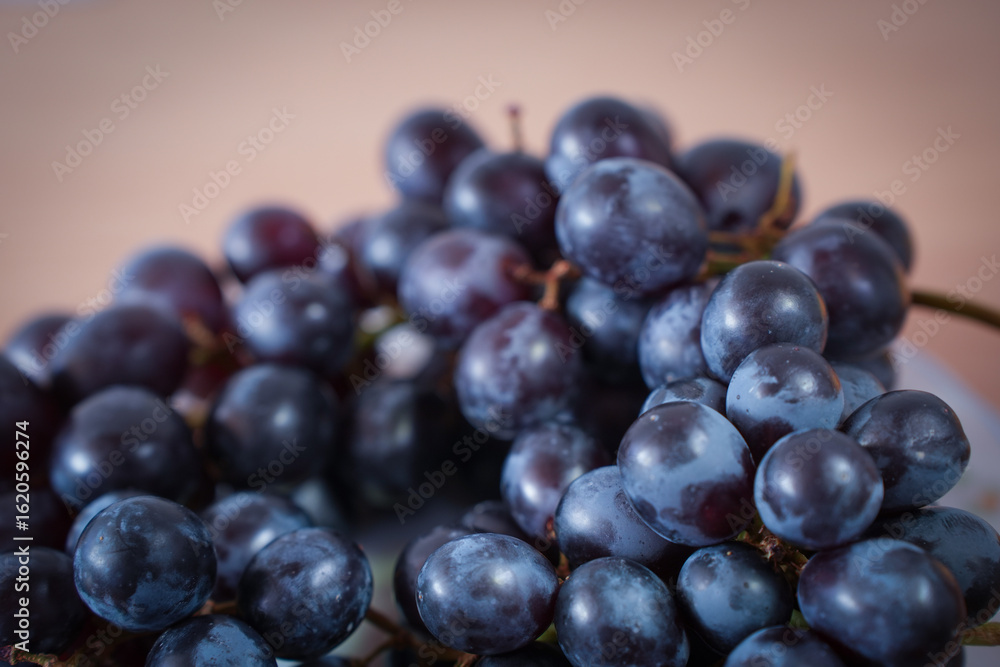 Fresh Blue Grapes Cluster Concept Picture Fresh Blue Grapes Cluster Concept Picture