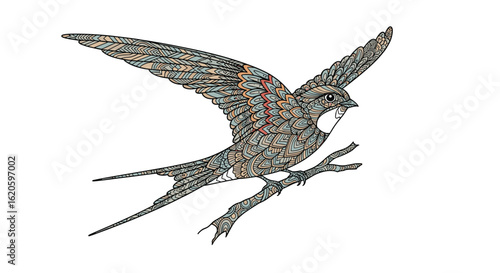 Delicate swift bird perched on a thin branch in mid flight detailed feather pattern on wings and tail