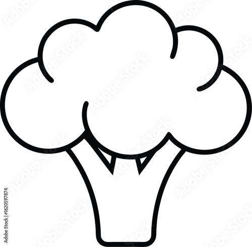 broccoli icon outline vector illustration on transparent background