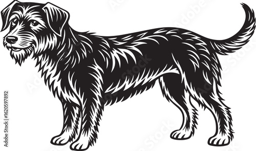 dog on white background