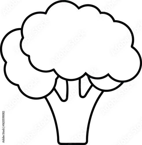 broccoli icon outline vector illustration on transparent background
