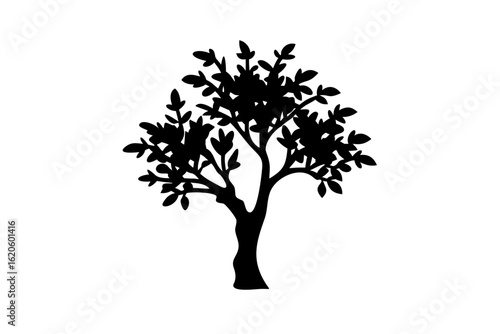 Silhouette of an avocado tree with fruit on a white background