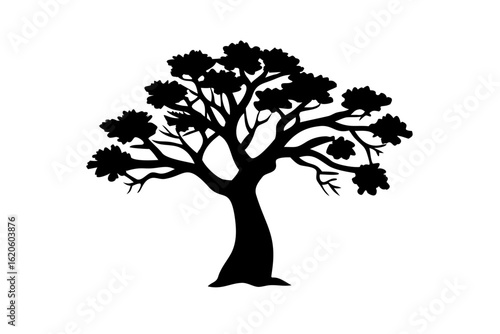 Ancient Dogwood Tree Silhouette ancient tree nature