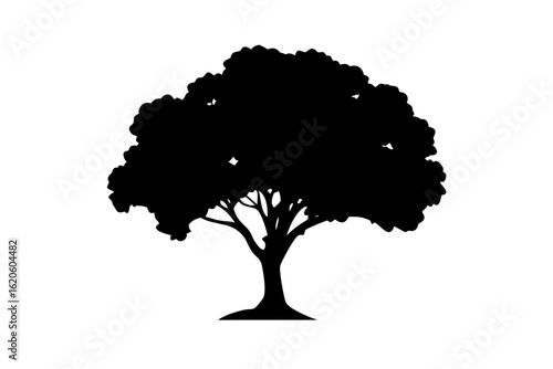 Silhouette of an Ancient Apple Tree with Gnarled Branches