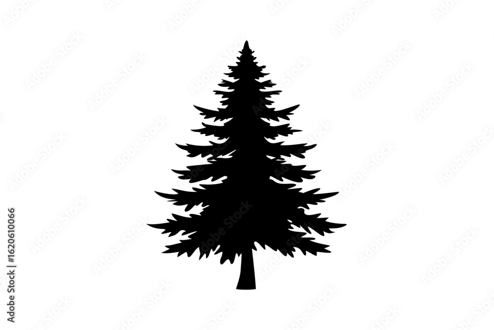 Obraz premium Silhouette of a blooming spruce tree on a white background