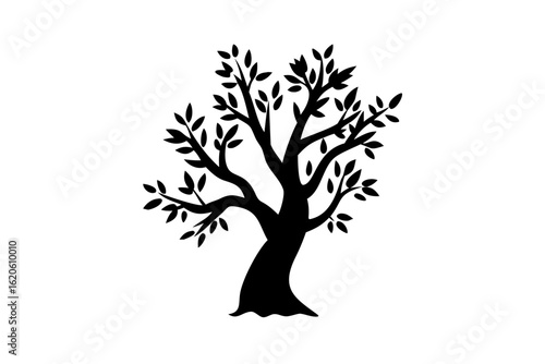 Silhouette of a blooming olive tree on a white background