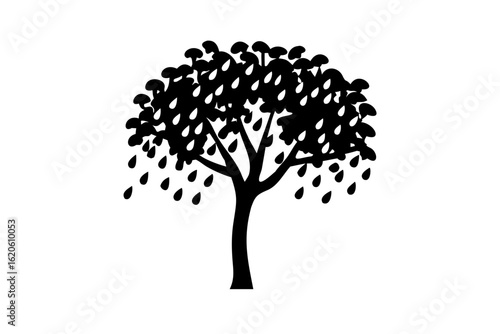 Silhouette of a blooming rain tree on a white background