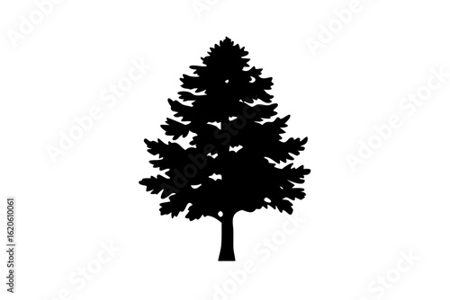 Silhouette of a blooming redwood tree on a white background