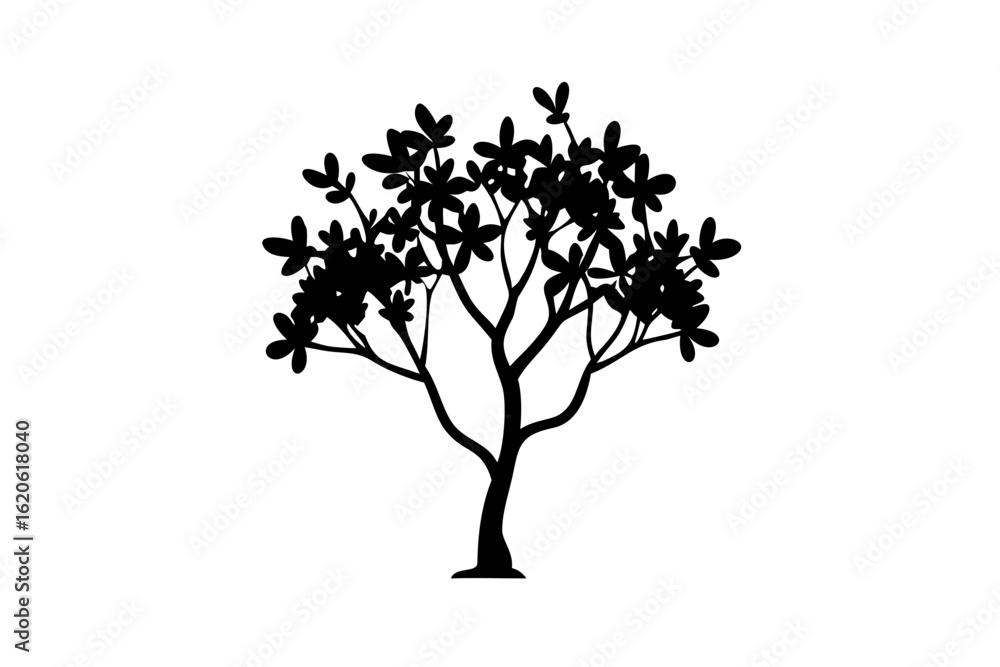 Fototapeta premium Blooming mangrove tree silhouette with white background
