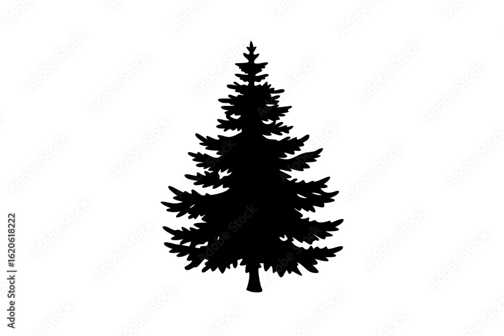 Obraz premium Blooming spruce tree silhouette on white background