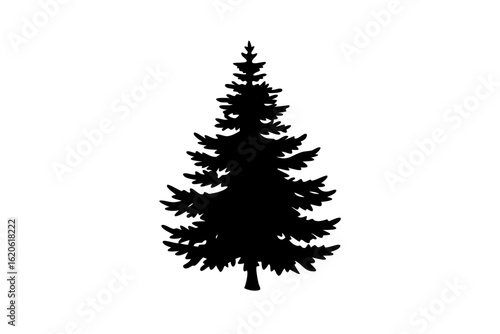 Blooming spruce tree silhouette on white background