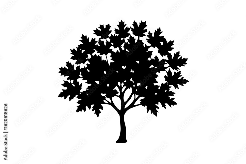 Obraz premium Blue maple tree silhouette on white background nature