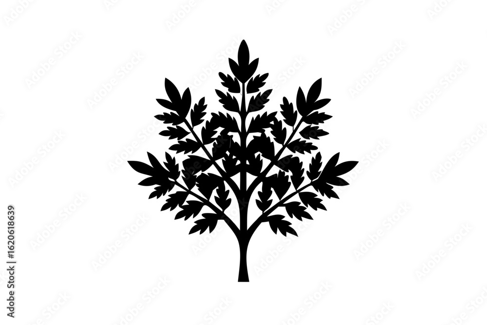 Obraz premium Blue Laurel Tree Silhouette plant
