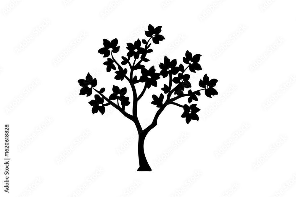 Fototapeta premium Silhouette of a blooming quince tree on a white background