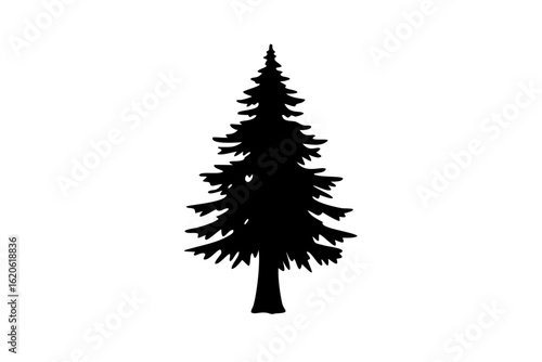 Silhouette of a Giant Sequoia Tree redwood tree evergreen tree
