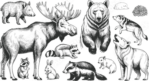 Vintage Forest Animals Hand-Drawn Sketch Illustrations Vector Set