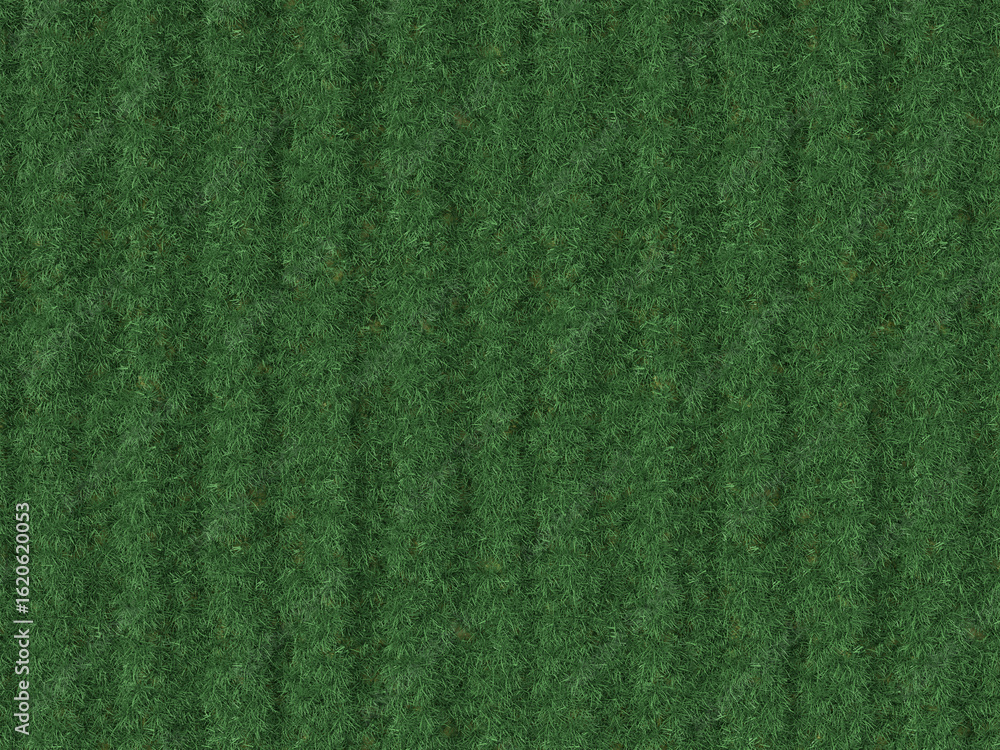 Fototapeta premium 青空と草原の風景