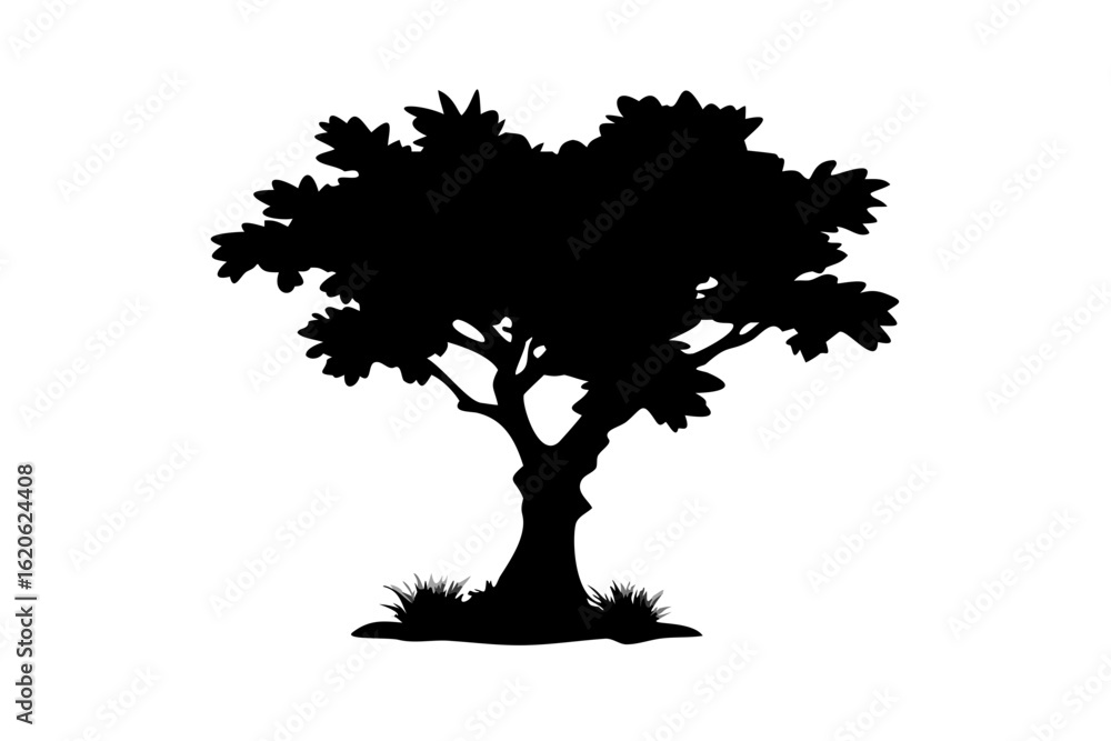 Fototapeta premium Desert Neem Tree Silhouette with Sparse Grass arid