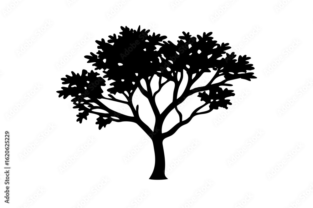 Obraz premium Dwarf Hazel Tree Silhouette hazelnut tree shrub